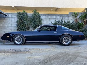 Aldan American Road Comp Coilover Kits for 1970-1981 CAMARO, FIREBIRD - AFBFMS3 Kit, Front, Twin-Tube, 0.0-2.0 in. Lowered, Aluminum, 450 lbs./in., Natural, Chevrolet, Pontiac, Pair