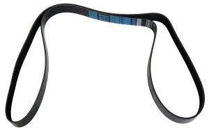 Dayco Supercharger Belts for 2007-2012 MUSTANG - 5100840SC Ford Mustang GT500, 2007-2012, 5.4 POLY Rib Belt